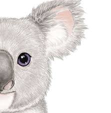 Print Koala Koala Baby Baby Koala Art Baby Room Print Koala Print Koala Painting Etsy Baby Room Prints Koala Sketchbook Layout