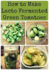 Fermented Green Tomatoes Preserving The Harvest Recipe Green Tomato Recipes Tomato Recipes Recipes