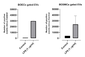 107,099 matches including pictures of sportsman, barbell, aerobics and gym. Generation And Isolation Of Extracellular Vesicles From Endothelial And Smooth Muscle Cells Grown Out Of Human Blood Isth Congress Abstracts