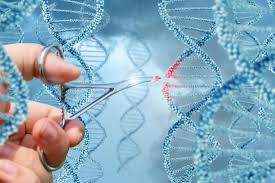 For example, those outlined by the national commission for the protection of human subjects of biomedical and behavioral papers of particular interest, published within the. The Ethics Of Gene Editing