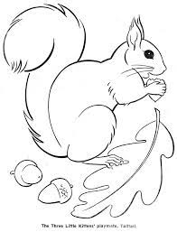 Jul 06, 2010 · flying squirrel coloring page from flying squirrels category. 366422e1b4df370c1cc027f8d43894f6 Jpg 736 967 Squirrel Coloring Page Animal Coloring Pages Fall Coloring Pages