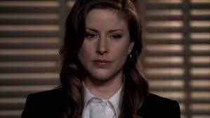 Stabler is teamed up with john 'hawk' hawkins to capture a serial rapist/murderer whom hawk originally convicted years e. Diane Neal Law And Order Fandom