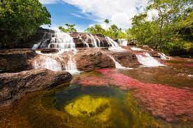 And la macarena is a relatively small town with a population of about 30,000. Cano Cristales Der Weltweit Bunteste Fluss Urlaubsguru De