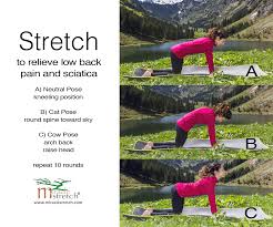 Pin On Relieving Low Back Pain