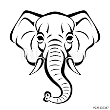 Close the front of the trunk with a small m kind of shape and then draw the head from the upper line of the. Vector Beautiful Elephant Face Tattoo Sketch Or Template For Print On T Shirts Stock Vektorgrafik Adobe Stock