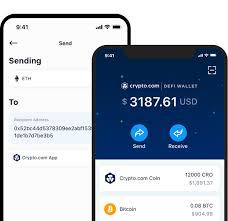 Crypto Com Defi Wallet Securely Store And Earn From Your Digital Assets In 2020 Biometric Authentication How To Find Out Digital