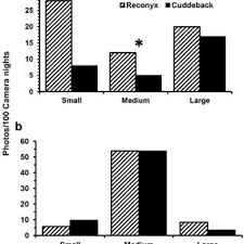 Is your smoke detector sounding the alarm for no apparent reason? Pdf Identifying Performance Differences Among Trail Cameras Used To Monitor Forest Mammals