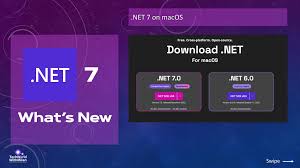 Image result for tbn:x6OAGyxnX6g1dM::www.shamsqatar.com/up/get.php%3Ffilename%3D1157595182.jpg