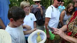 Des propositions de randonnées autour de la ferme auberge. Ferme D Ambrune Et Polalye Youtube