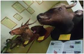Ell & e17 tempoh siap jam q isa : Ke Sungkai Wildlife Reserve Nature Lovers
