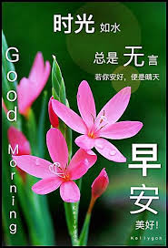 pin by elise lee on 早安问候语 good morning beautiful gif good morning beautiful beautiful gif