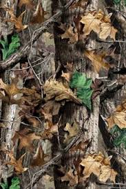 Can the net harness a bunch of volunteers to help bring books in the public domain to life through podcasting? Realtree Camo Wallpaper Android