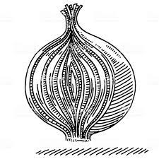 Pin On Line Draw