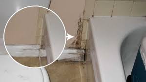 Grace A Cette Astuce Efficace Il A Pu Combattre Une Fois Pour Toutes Les Moisissures Sante24 Home Decor Decor Home
