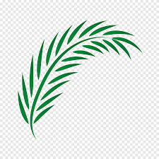 In this watercolour tip video anna shows you how to paint succulent leaves in watercolor and create the desired texture.if you enjoy this video don't forget. Green Leaf Drawing Palm Leaves Watercolor Leaves Beach Png Pngegg