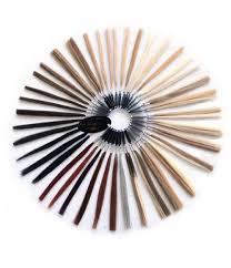 Color Chart Human Hair Color Ring