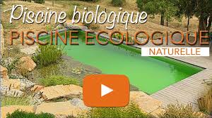 Piscine Ecologique Biologique Ou Baignade Naturelle Youtube