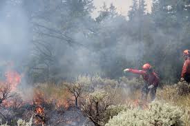 It is an element of the ministry of forests, lands, natural resource operations and rural development. Bc Wildfire Crews Head To Quebec Ontario To Help With Fires Bc News Castanet Net