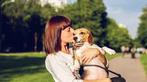 I was nervous about how she would react to someone coming in, but was reassured that all of becky's pet care employees are trained. 8 Ways To Say I Love You In Dog Language The Dog People By Rover Com