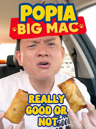 Viral Popia Big Mac di Malaysia: Benar-benar Sedap?