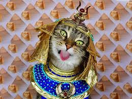 A list of historic cat names for boy cats! A History Of Felines As Narrated And Illustrated By A Cat History Smithsonian Magazine