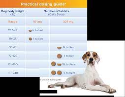 Previcox is a chewable tablet that can be given orally or given with food to help reduce the changes of an upset stomach. Easy Dosing Smart Design Previcox Project Merial