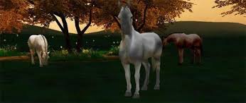 We did not find results for: Imvu Pferde Spiele Online