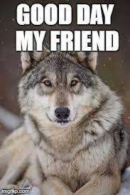 Fastest way to caption a meme. Wolf Wolves Meme Generator Imgflip Wolf Love Animals Wild Wolf Dog