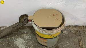 Mouse Trap Papper Mouse Trap Diy Make A Rat Trap Easy Saving A Mice Youtube Bricolage