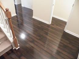 Laminate Floors Too Dark Aparat Feb 22 2009 056 Jpg Dark Laminate Floors Wood Laminate Flooring Cheap Laminate Flooring