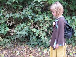 phoenix fire hogaboom, naturalist