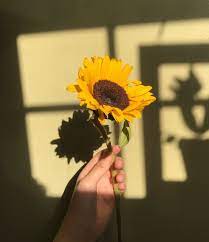 Gambar bunga mawar layu tumblr terpopuler. Happy Yellow Tumblr Wallpaper Bunga Matahari Doodle Bunga Poster Bunga