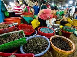 Chợ đầu mối bình điền (phường 7, quận 8, tp. áº£nh Ä'iá»‡n Thoáº¡i Cáº£nh Sinh Hoáº¡t Chá»£ Ä'áº§u Má»'i Binh Ä'iá»n Sai Gon Chá»¥p Báº±ng Lg V20 Tinh Táº¿