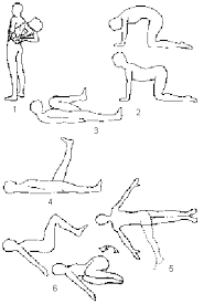 Pin On Exercises For Lower Back