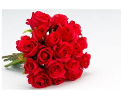 Maybe you would like to learn more about one of these? Rose Flower At Rs 400 Kilogram Rose Flower Id 14510711788