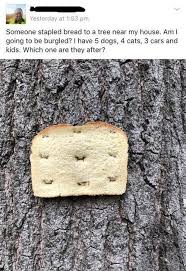 We Have No Idea Why Bread Is Stapled To Trees But It Is So Here You Go Breadstapledtotrees Wtf Weirdpics Weird Wei Bread Freaking Hilarious Funny Memes