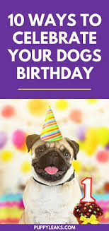 Fun Things To Do On Your Dog S Birthday 10 Fun Ways To Celebrate Your Dog S Birthday Dog Birthday Dog Birthday Party Dog Birthday Party Pets