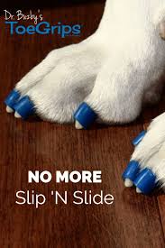 Toegrips Are The Safe And Natural Solution To Prevent Your Senior Dog From Slipping On Smooth Surfaces Like Hardwood Floors Senior Dog Dog Help Dog Safety