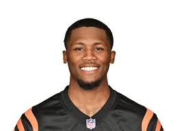 Tee Higgins - Cincinnati Bengals Wide Receiver - ESPN