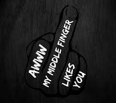 You are so awesome that, my middle finger salutes you. My Middle Finger Likes You Wallpapers Wallpaper Cave