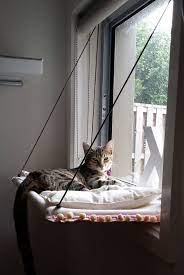 Excellent for giving your cat a resting spot. Custome Order501 Large Hammock Picking Up At Sb Cat Hammock Cat Room Diy Stuffed Animals