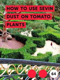Sevin dust acts as a poison to honey bees. Learn How To Use Sevin Dust On Tomato Plants How To Guides Tips And Tricks Plants Growing Vegetables Plant Leaves Turning