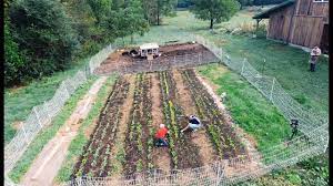 Shortly after we decided to name our farm heart rock homestead. How We Built A 10 Acre Homestead In A Year From Scratch Youtube