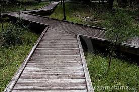 Raised Wooden Walkway Over An Often Marshy Area Overgrown With Wooden Walkways Outdoor Walkway Walkway