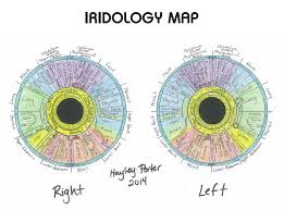 What Is Iridology Understand Thyself