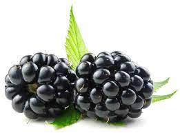 images Cranberry Blackberry Fruit In Hindi