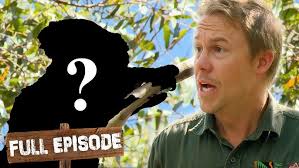 Theo The Koala Has Gone Missing! 🐨| The Wild Life of Tim Faulkner S2 Ep 2 