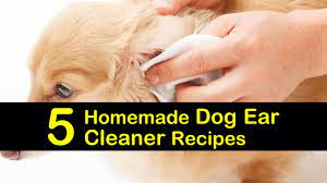 Vinegar and boric acid dog ear wash. 5 Homemade Dog Ear Cleaner Recipes