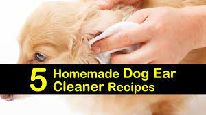 How to clean your pet's ears. 5 Homemade Dog Ear Cleaner Recipes
