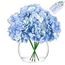 Come tutte le appartenenti a questa classe sopporta tranquillamente un'esposizione soleggiata, specialmente se irrigata con regolarità. Cattleyahq 4 Teste Di Fiori Di Ortensia Artificiali Matrimoni Elegante Bouquet Di Ortensie Decorazione Di Fiori Finti Per Feste Bianca Cucina Casa Fiori Artificiali Piante E Fiori Artificiali Landknirpse De